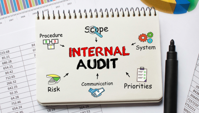 Internal Audit Standards