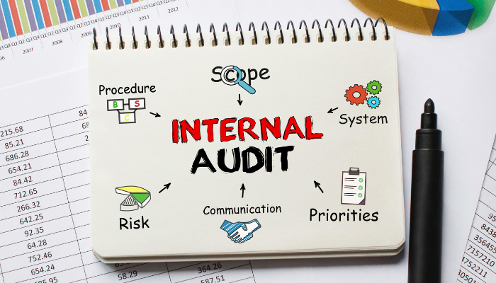 Internal Audit Standards