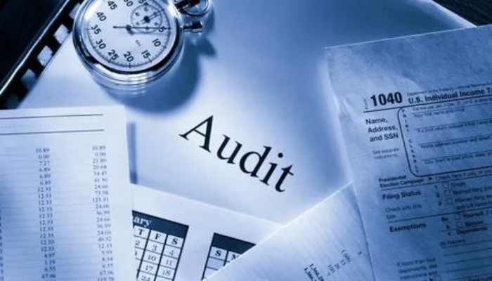 Standardized Internal Audit