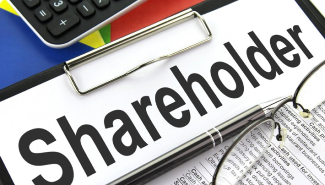 What is Shareholder Loan