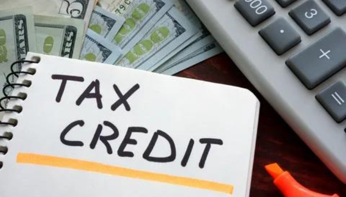 What is a Tax Credit