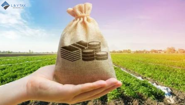How to File Agriculture Income Tax Return