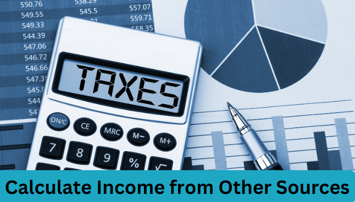 How to Calculate Income from Other Sources