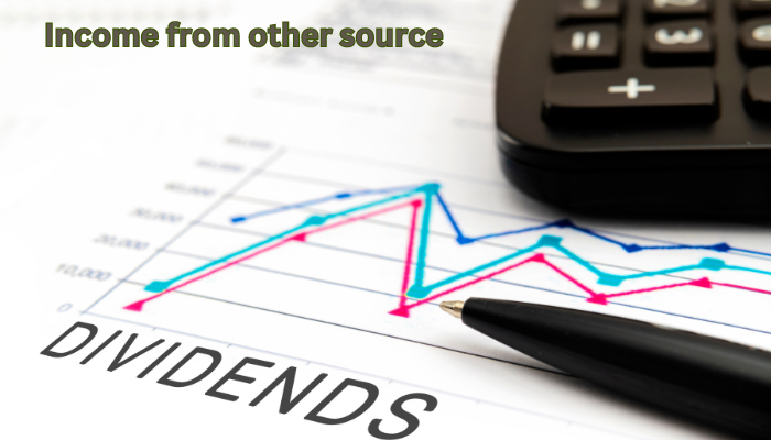 What is Income from Other Sources