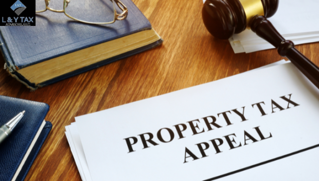 What is Tax Appeal