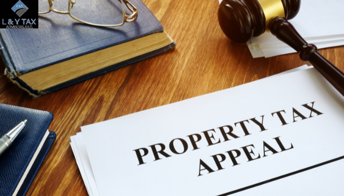 What is Tax Appeal