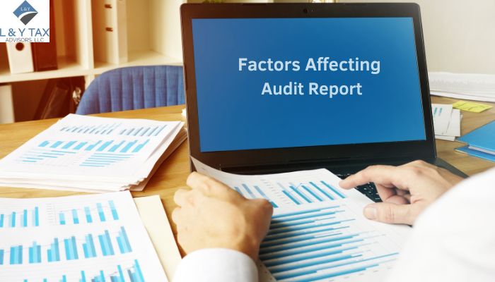 What are the Factors Affecting Audit Reports