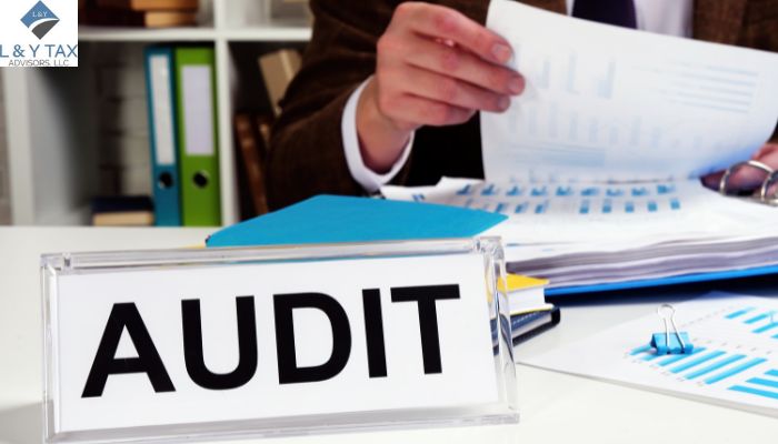 What are the Four Types of Audit Reports