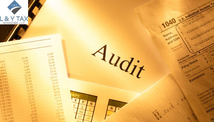 What is Annual Audit Report