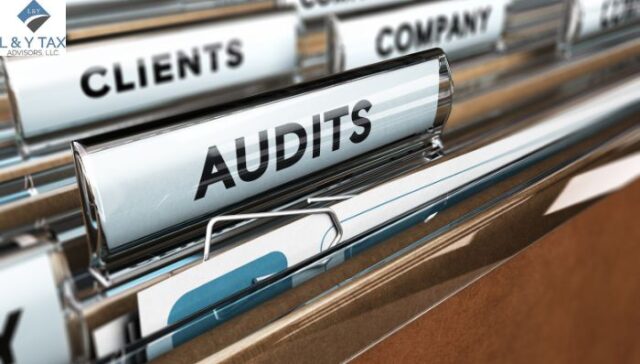 How to Audit a Company