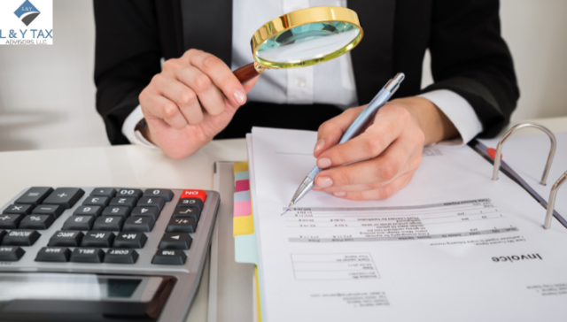 What is the Role of an Auditor