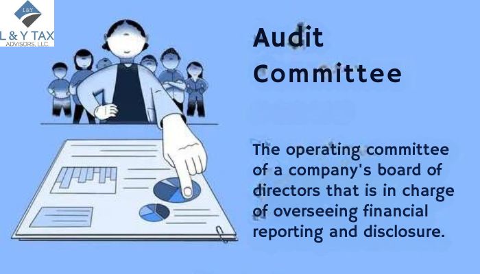 What is Audit Committee