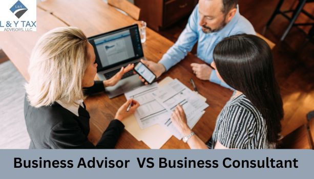 What is the Difference Between a Business Advisor and a Consultant