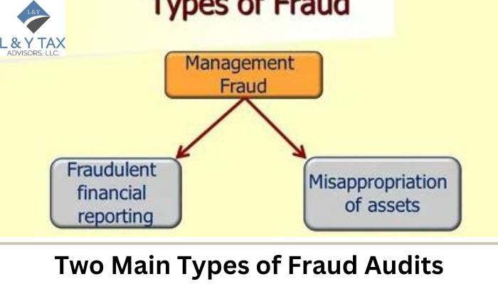 Two Main Types of Fraud Audits