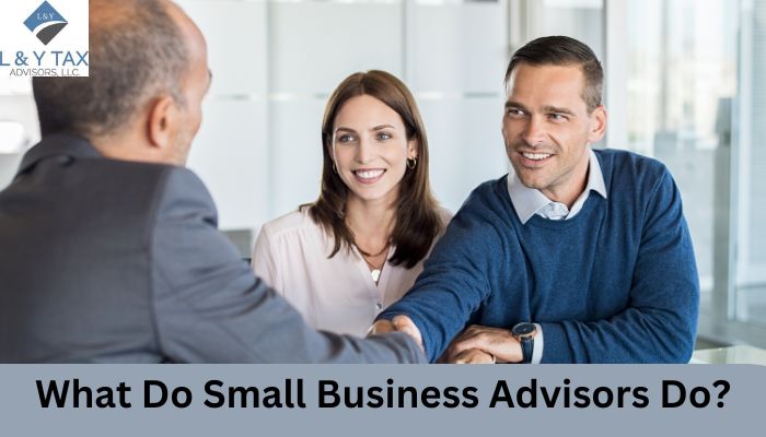 What Do Small Business Advisors Do