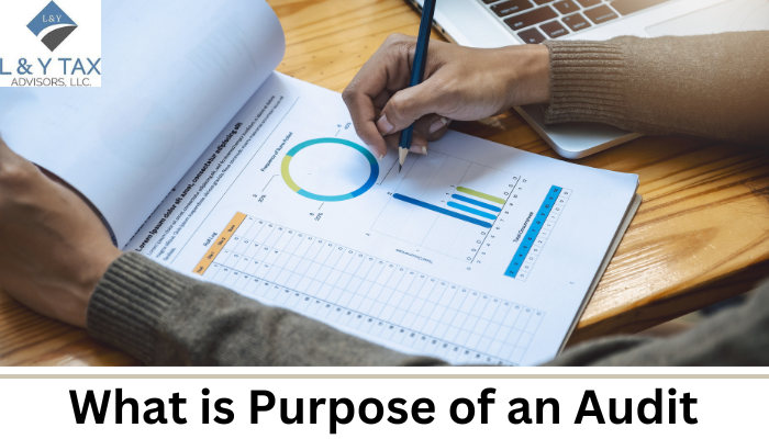 What is Purpose of an Audit