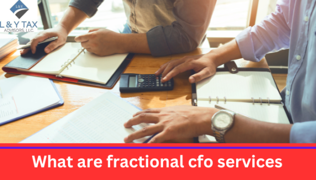 What are Fractional CFO Services