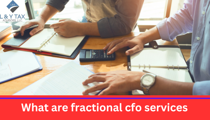 What are Fractional CFO Services