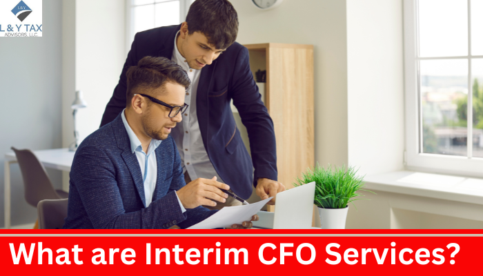 What are Interim CFO Services