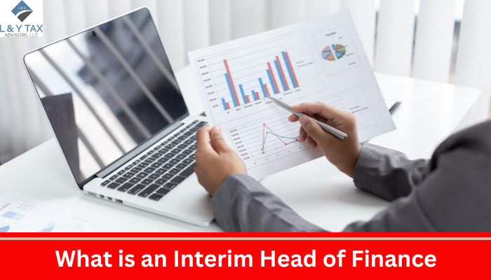 What is an Interim Head of Finance