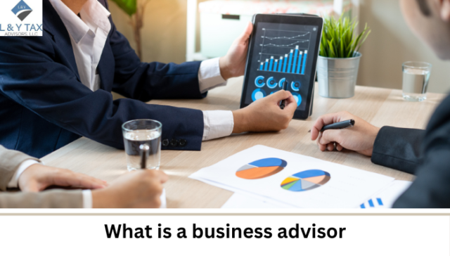 what is a business advisor