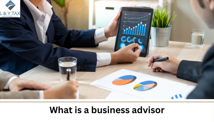 what is a business advisor