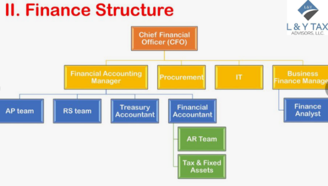 What is the Structure of the CFO Team?
