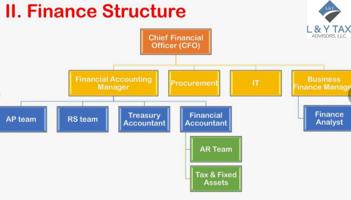 What is the Structure of the CFO Team?