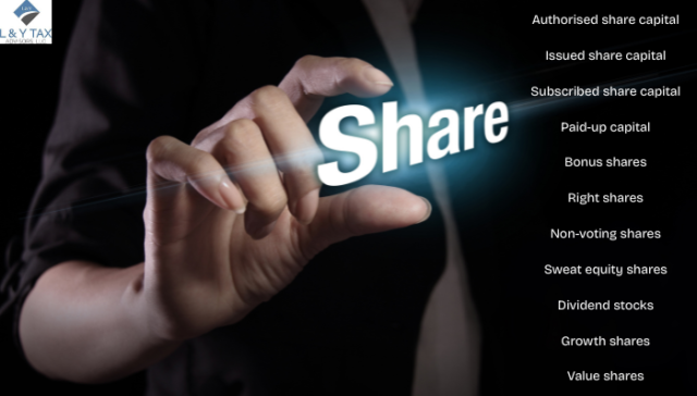 What is Share and Its Types