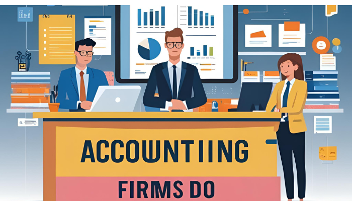 What Do Accounting Firms Do?