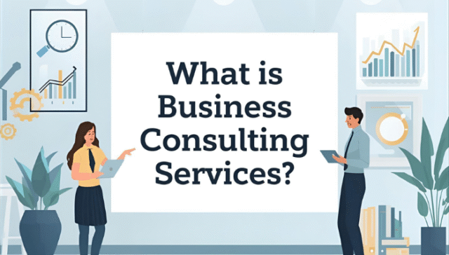 What is Business Consulting Services?