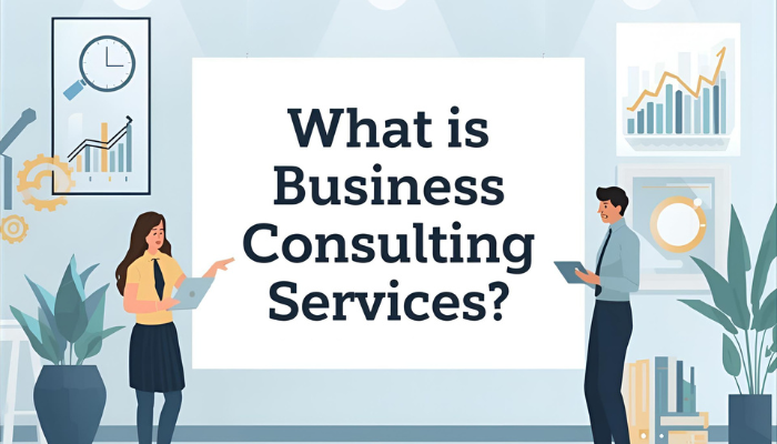 What is Business Consulting Services?