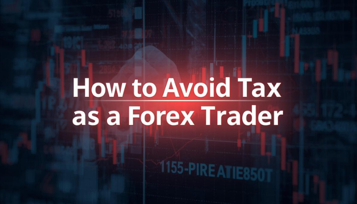 How to Avoid Tax as a Forex Trader
