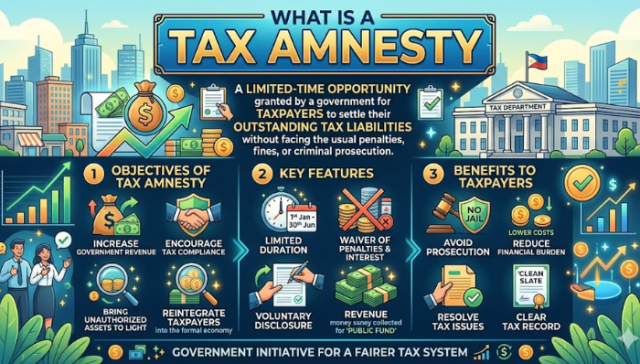 What is a Tax Amnesty