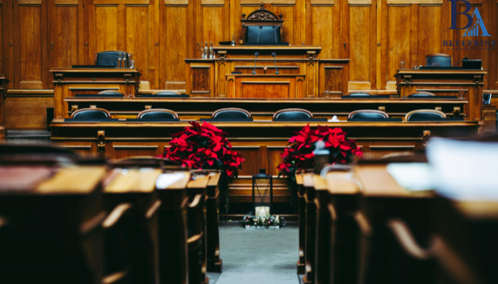 Litigation Support